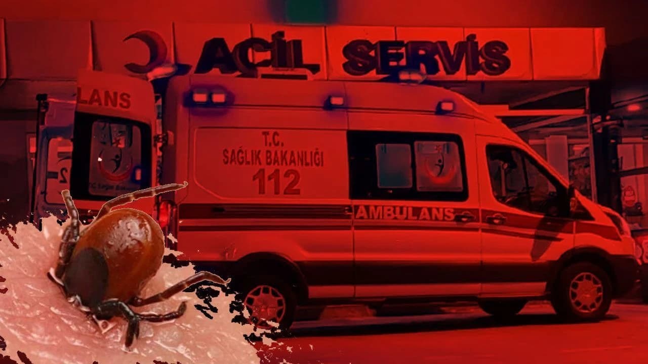 Kene Salgını: Doğada Korunmanın Doğal Yöntemleri